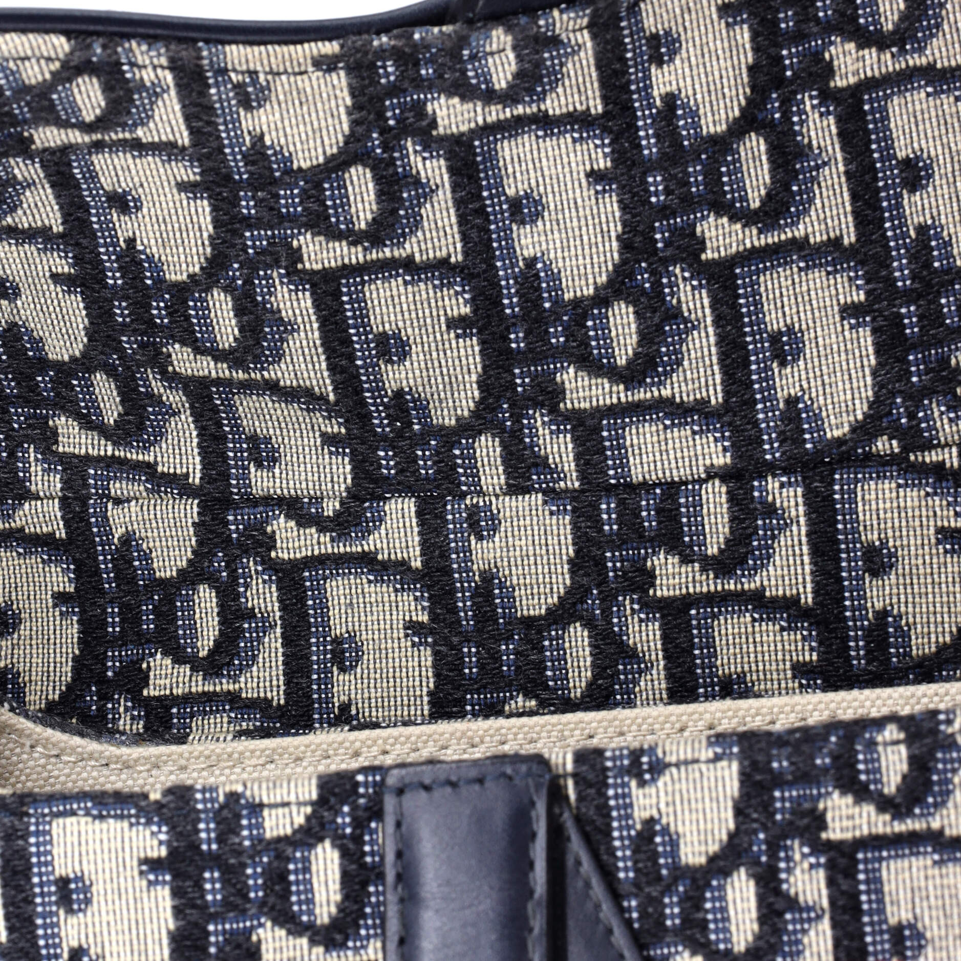 Saddle Handbag Oblique Canvas Mini
