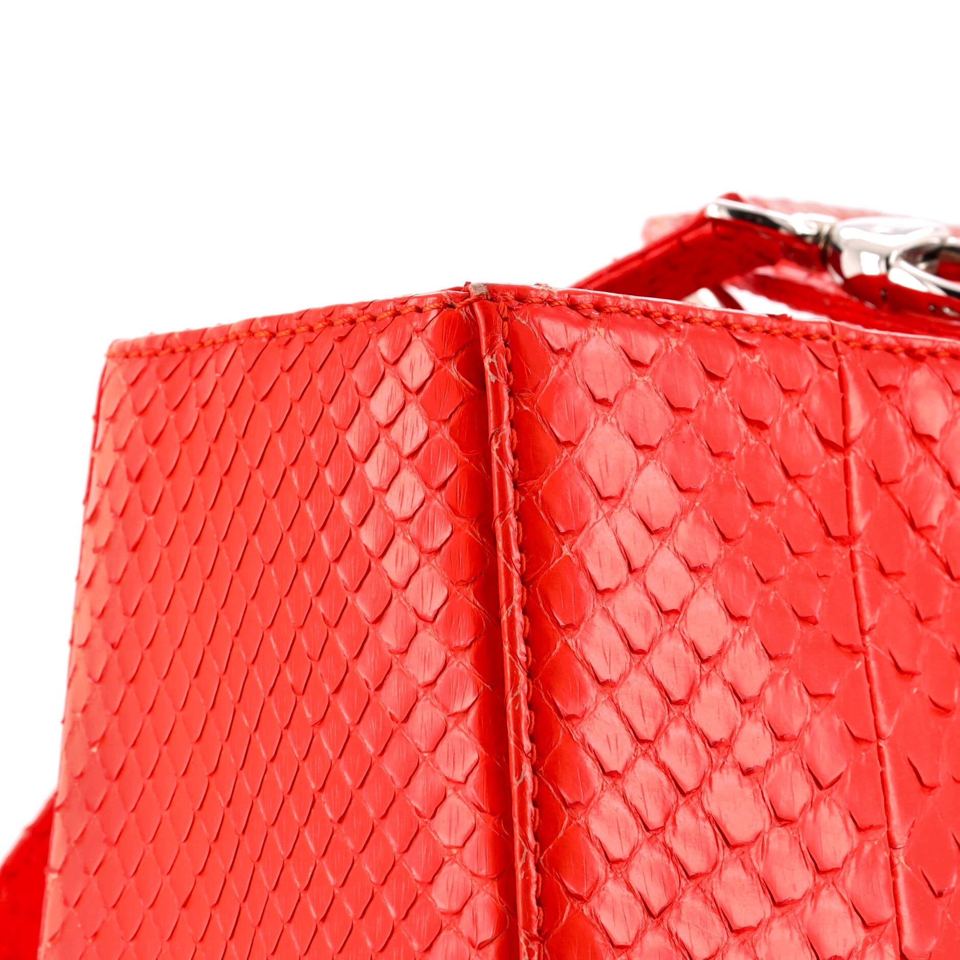 Lady Dior Bag Python Large