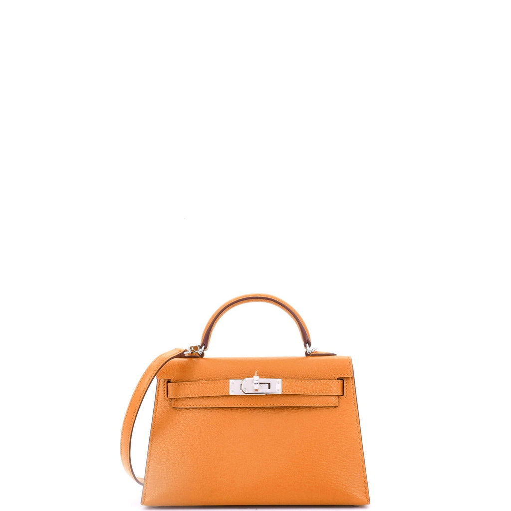 Kelly Mini II Bag Verso Chevre Mysore with Palladium Hardware 20