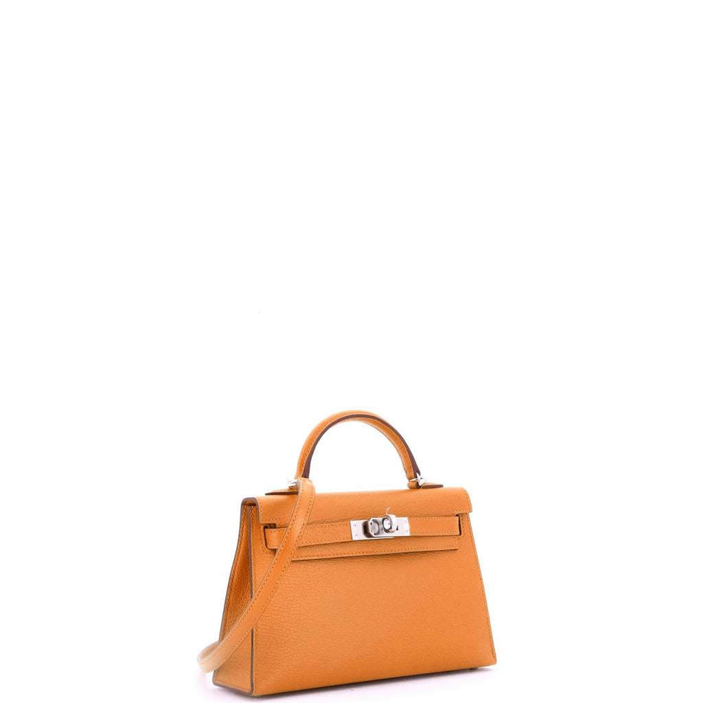 Kelly Mini II Bag Verso Chevre Mysore with Palladium Hardware 20