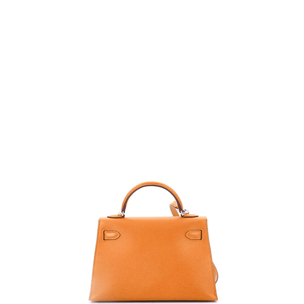 Kelly Mini II Bag Verso Chevre Mysore with Palladium Hardware 20