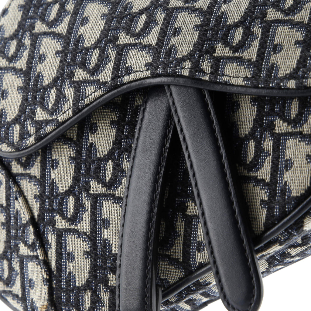 Saddle Handbag Oblique Canvas Mini