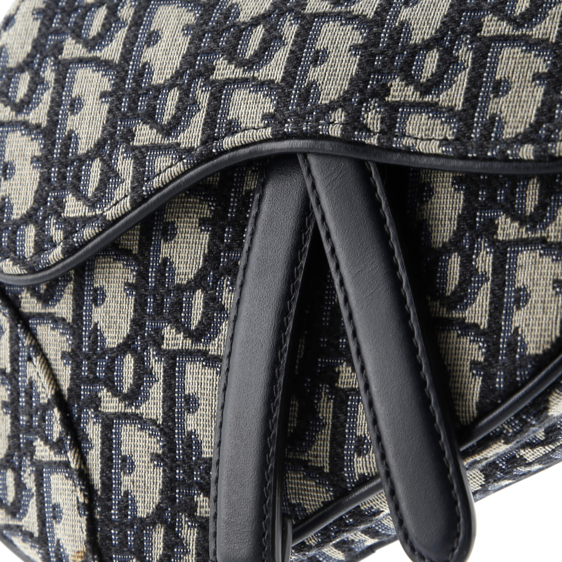 Saddle Handbag Oblique Canvas Mini