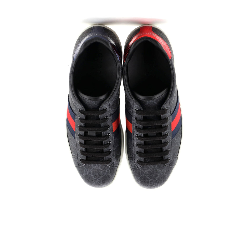Ace Sneakers GG Coated Canvas