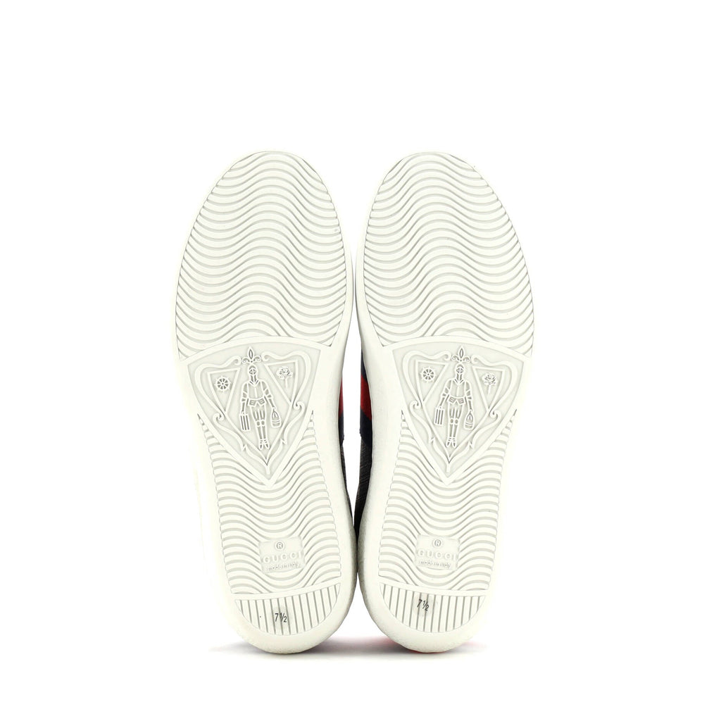 Ace Sneakers GG Coated Canvas