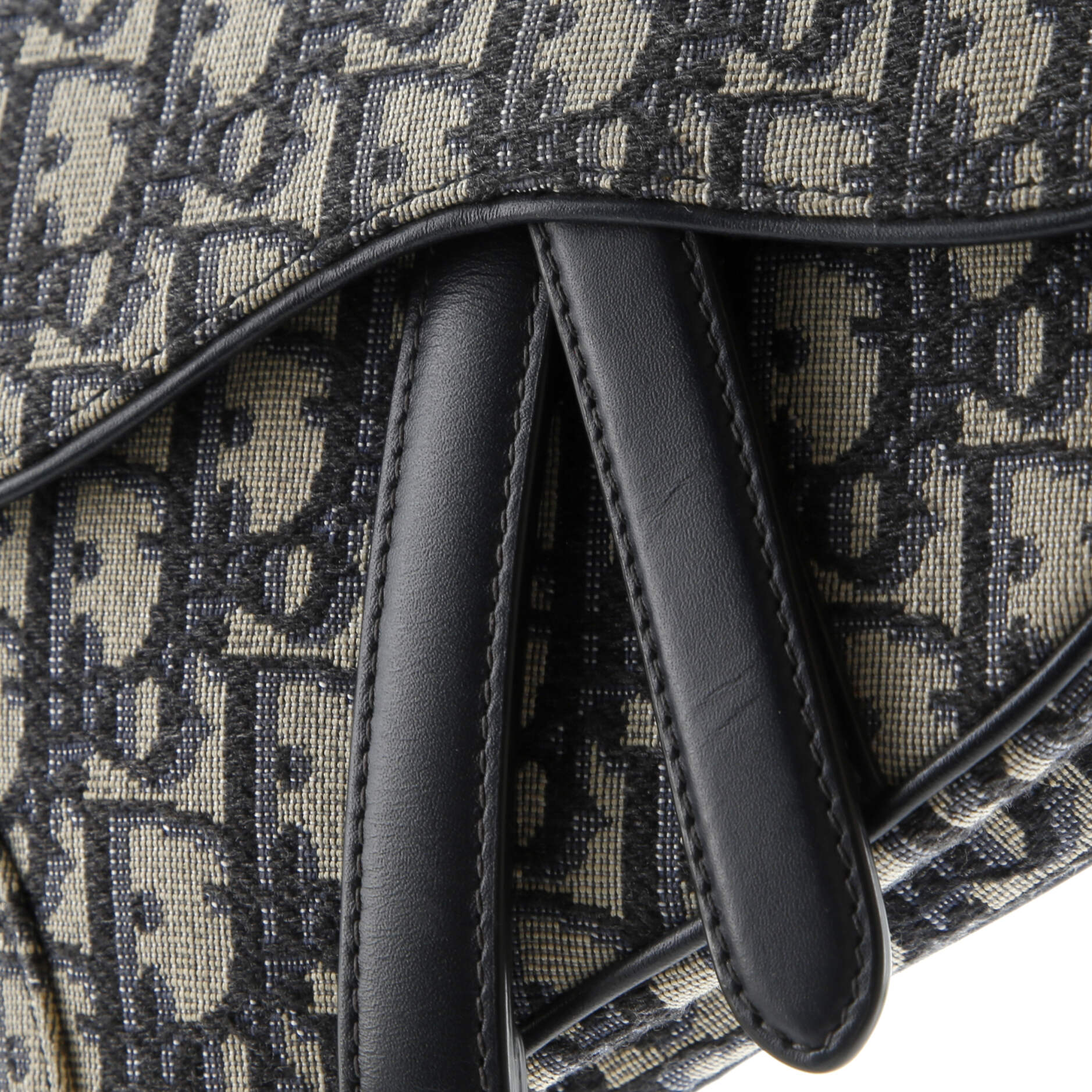Saddle Handbag with Strap Oblique Canvas Mini