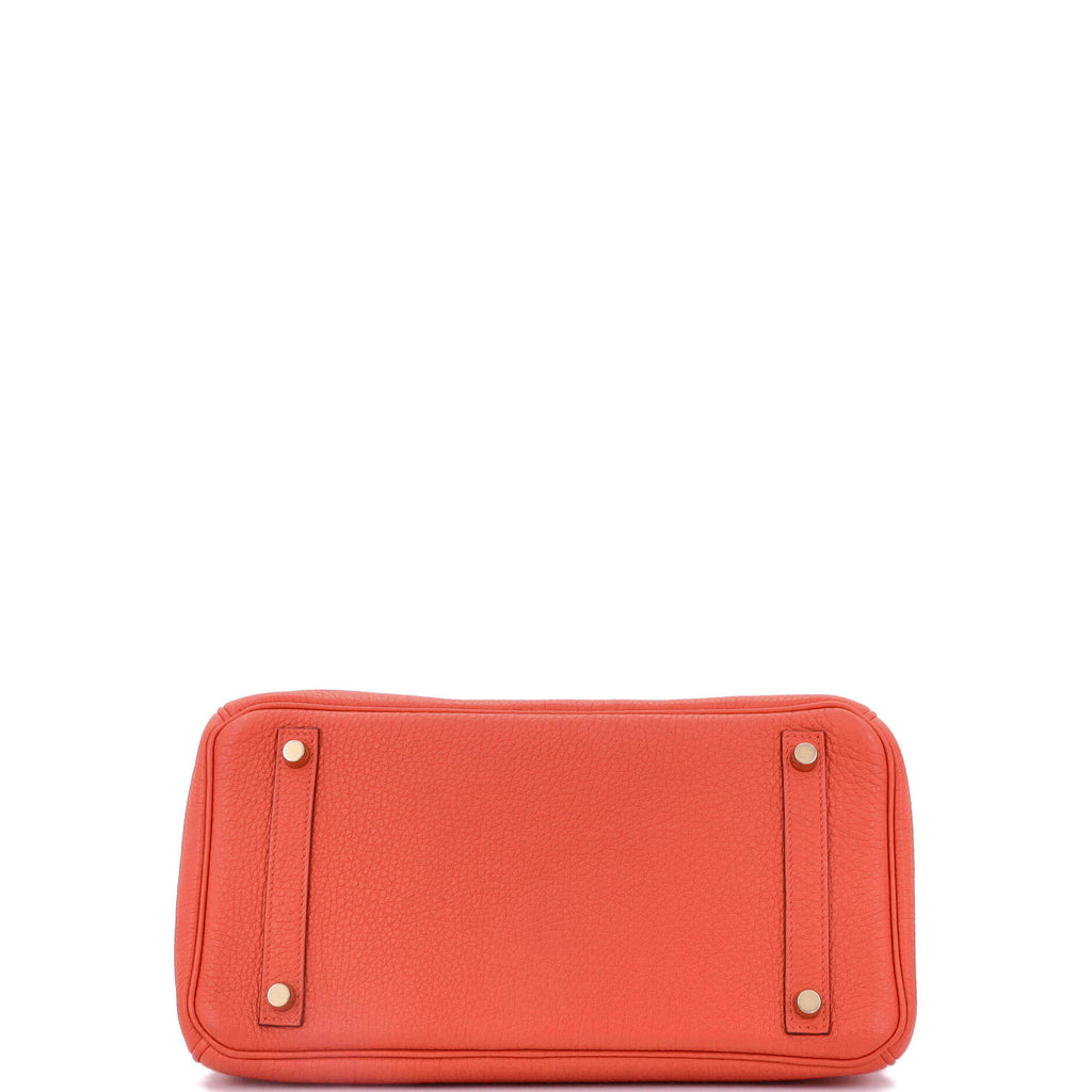 Birkin Handbag Capucine Togo with Gold Hardware 30