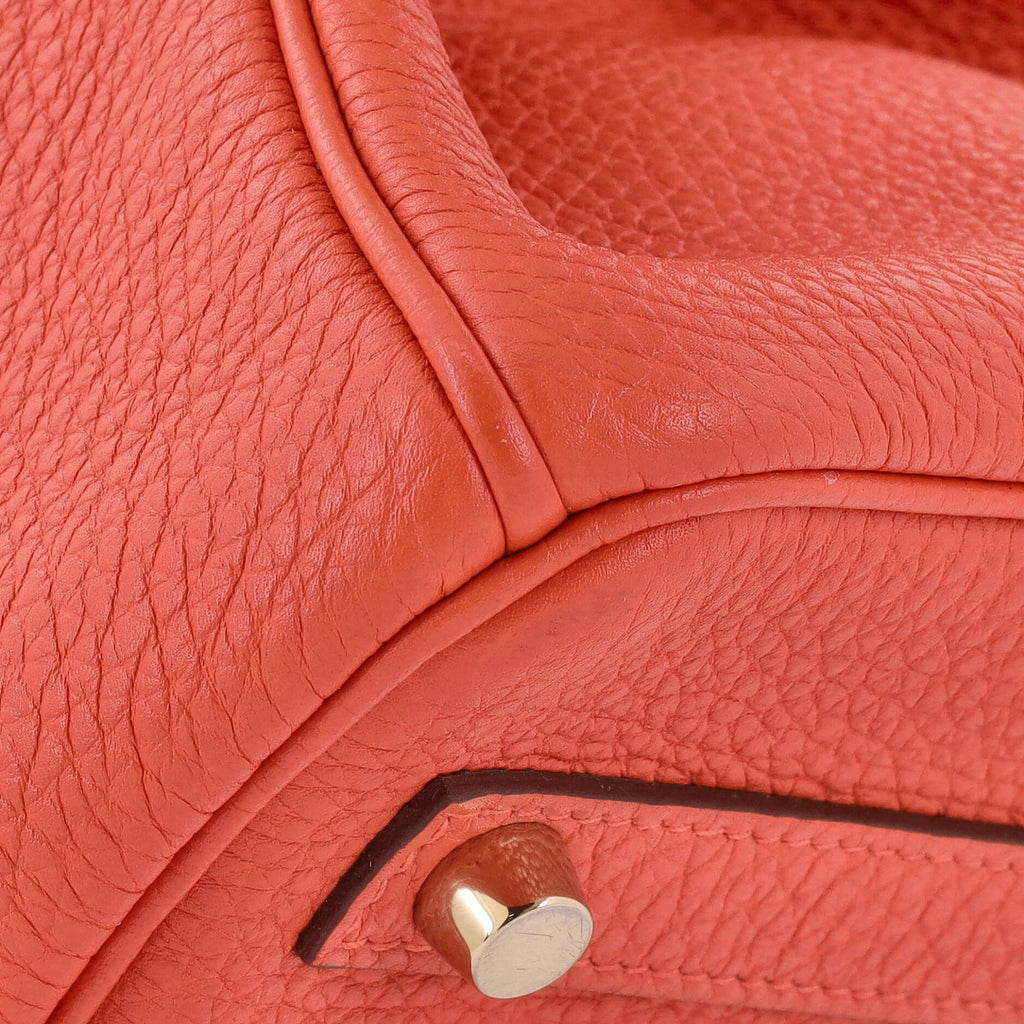 Birkin Handbag Capucine Togo with Gold Hardware 30