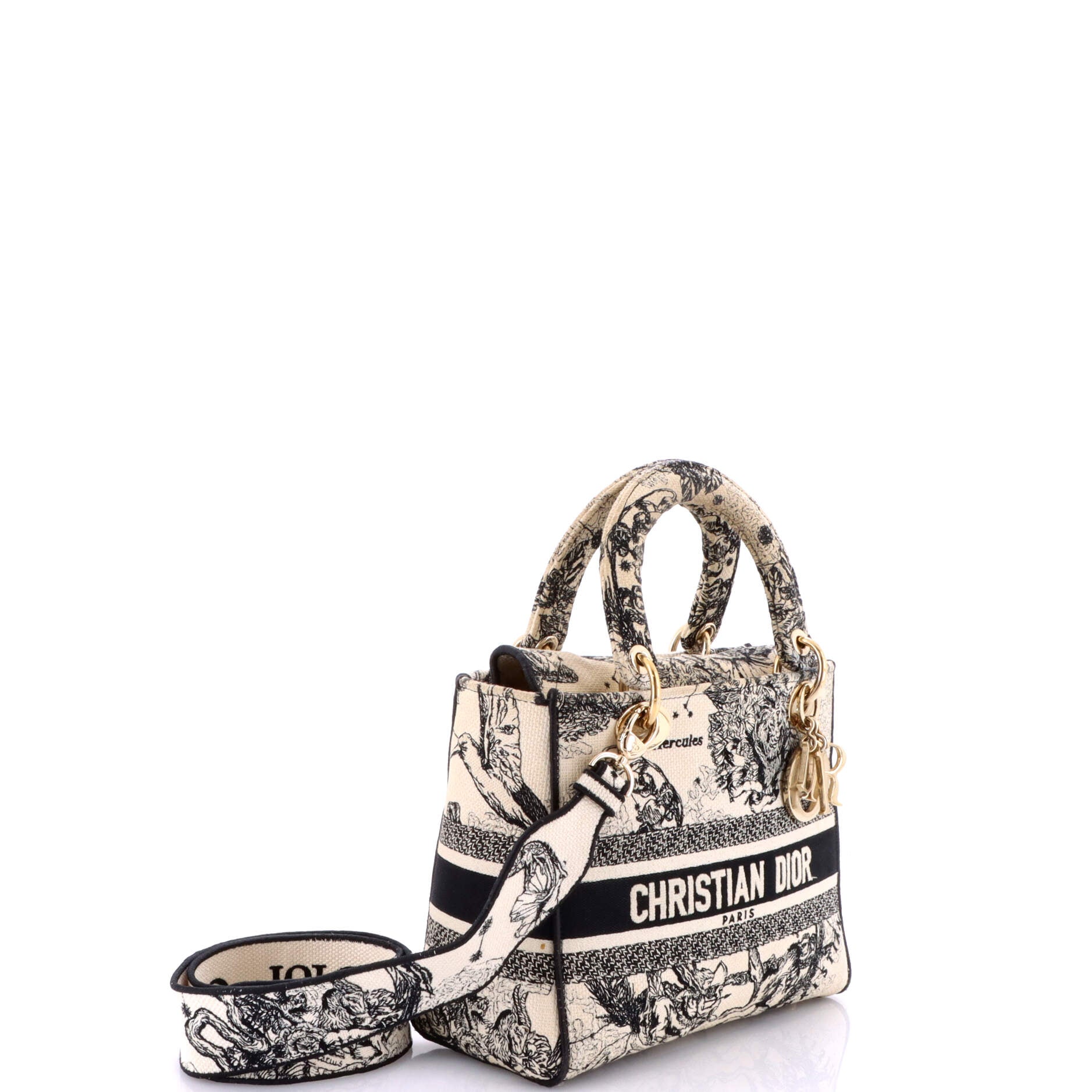 Lady D-Lite Bag Embroidered Canvas Medium