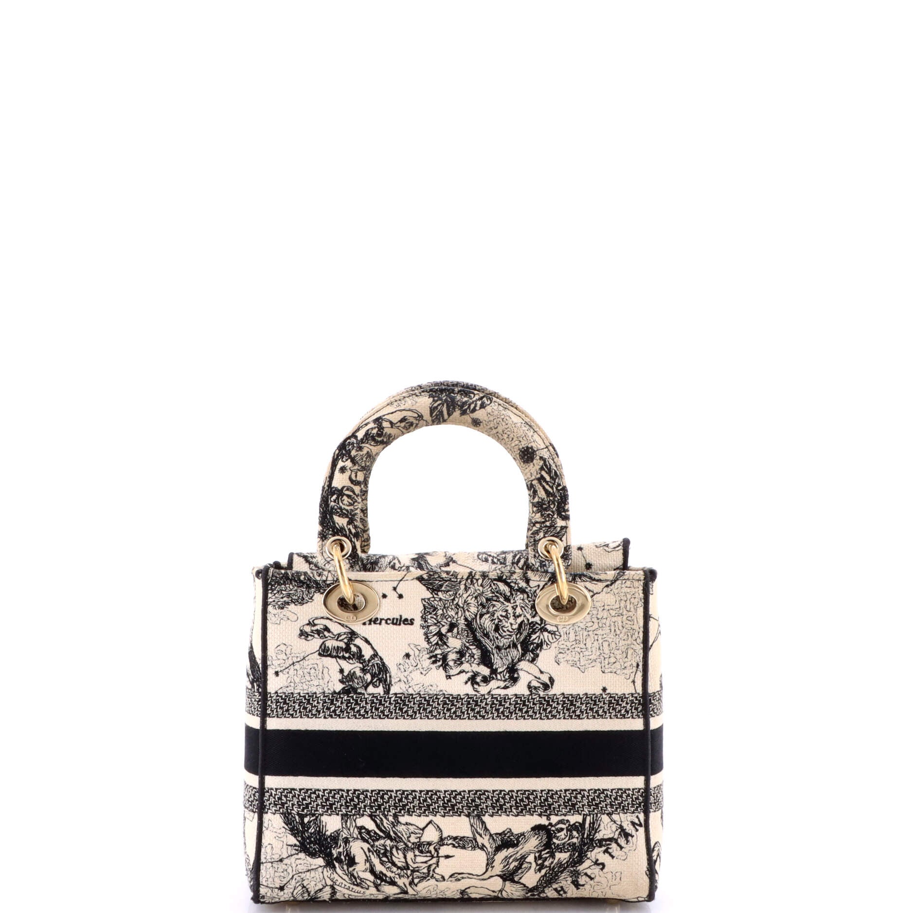 Lady D-Lite Bag Embroidered Canvas Medium