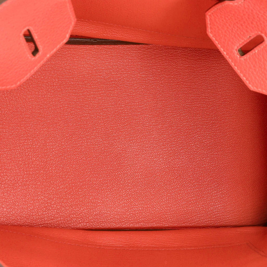 Birkin Handbag Rose Jaipur Clemence with Gold Hardware 30