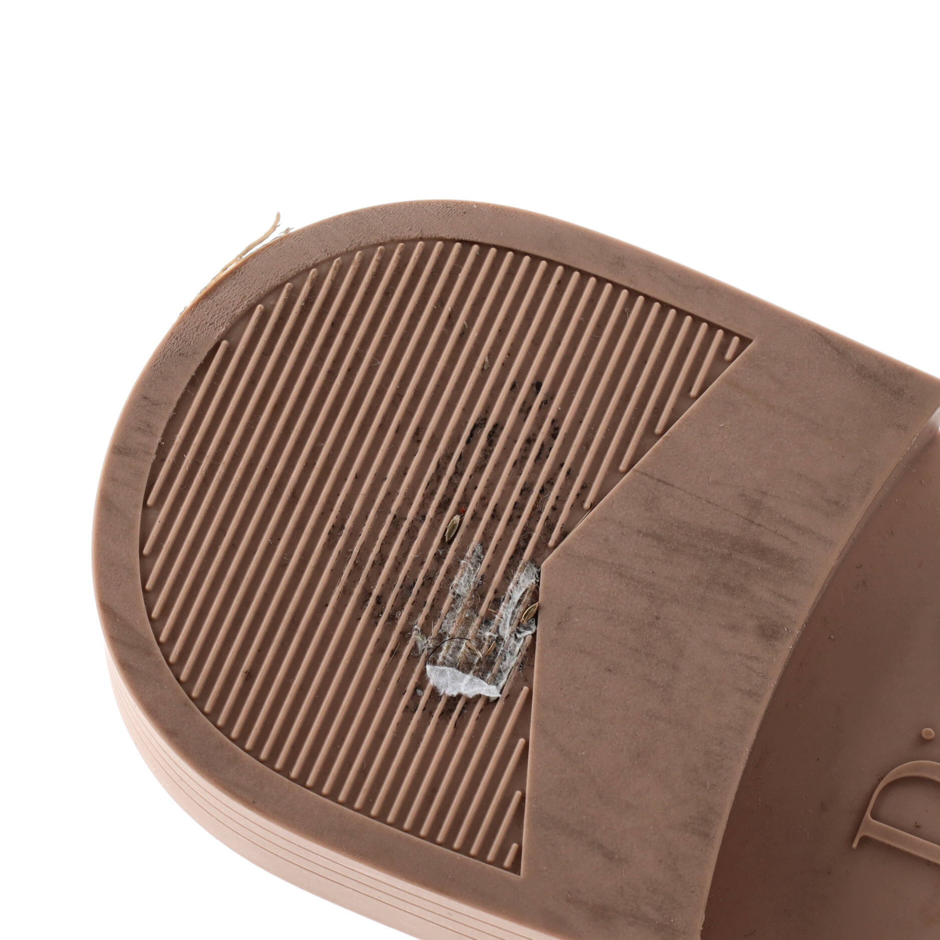 Women's Dio(r)evolution Slide Sandals Technical Fabric
