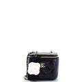Camellia Bow Vanity Case with Chain Quilted Lambskin Mini