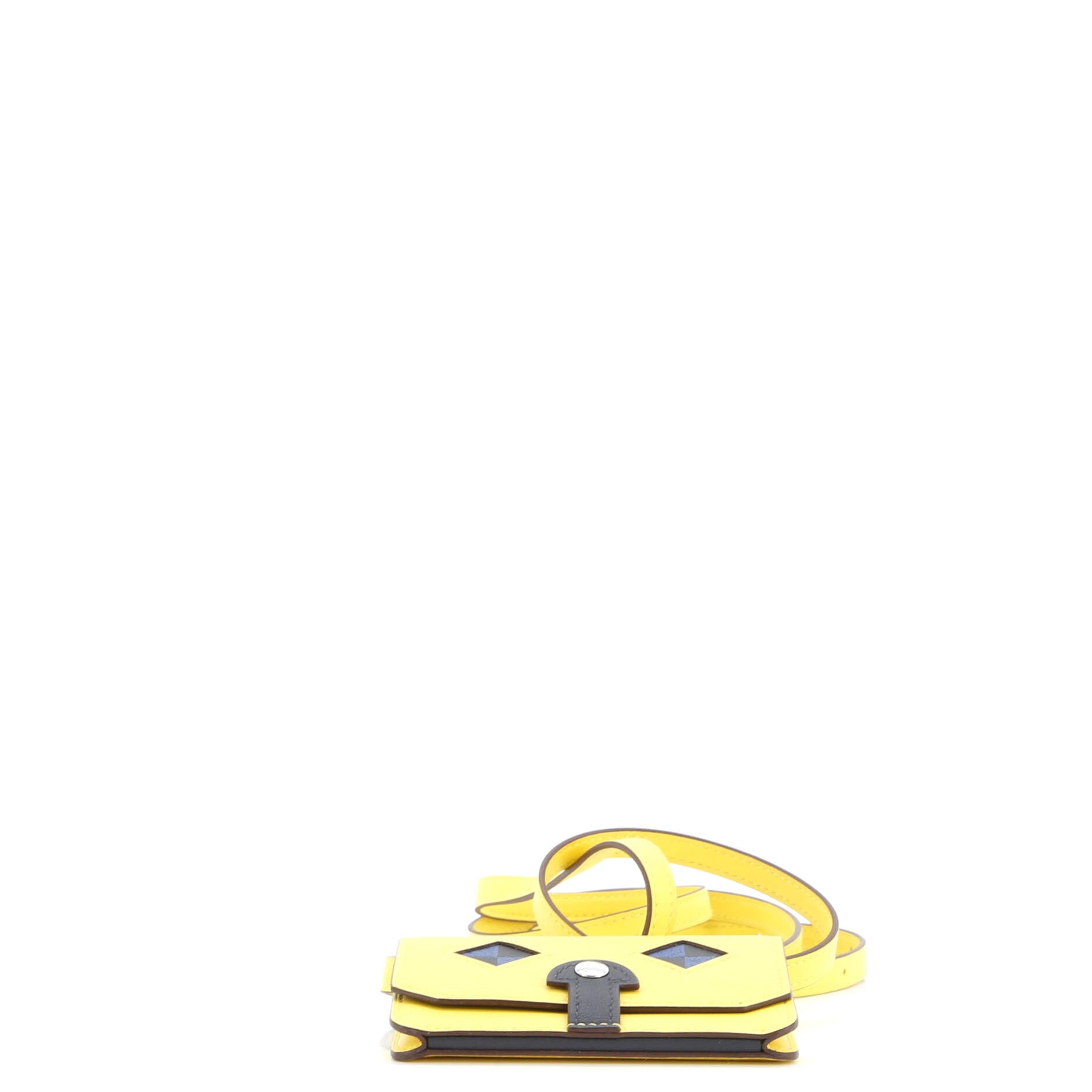 Chien Card Holder with Strap Swift and Chevre Mysore