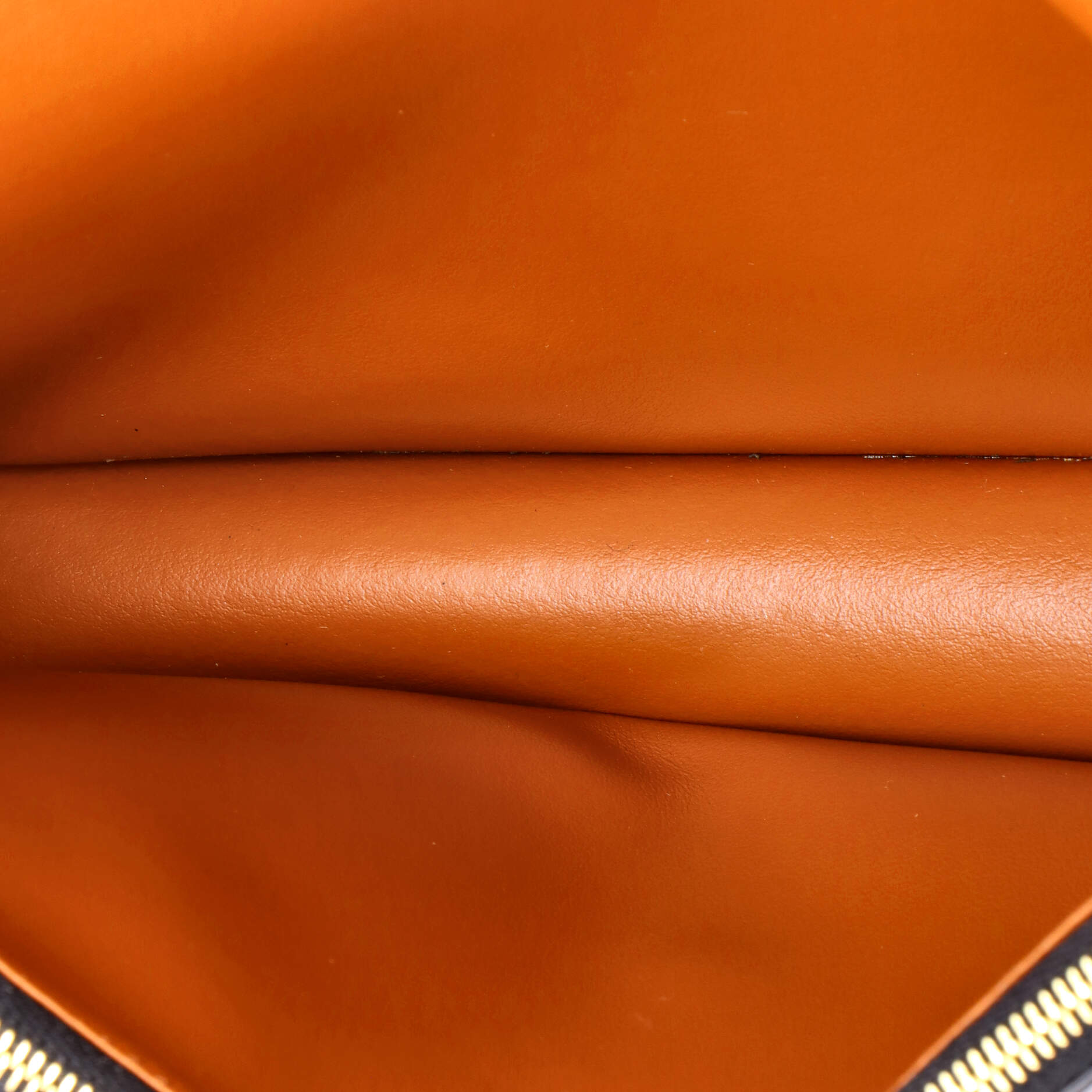 Wallet on Strap Triomphe Coated Canvas
