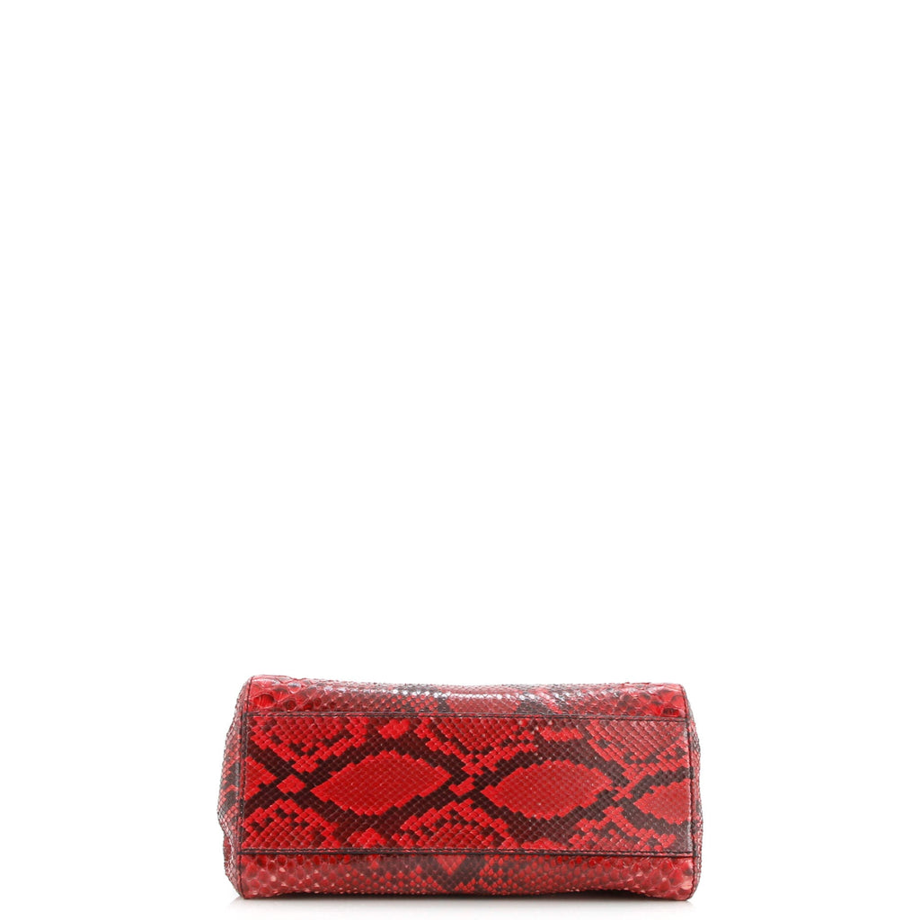 Peekaboo Bag Python Mini