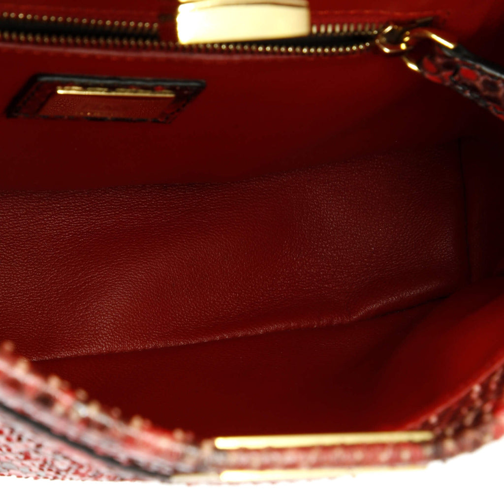 Peekaboo Bag Python Mini