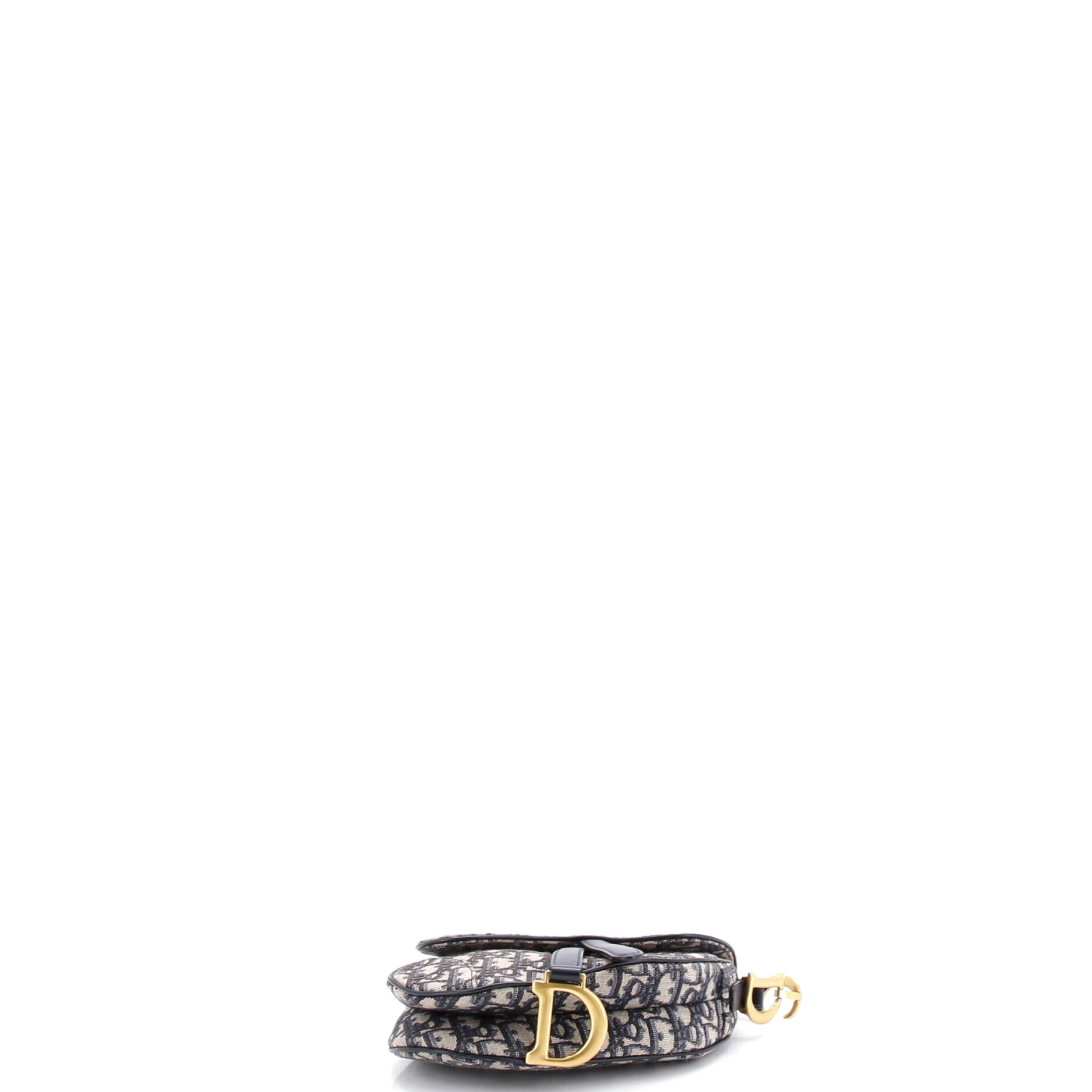 Saddle Handbag Oblique Canvas Mini