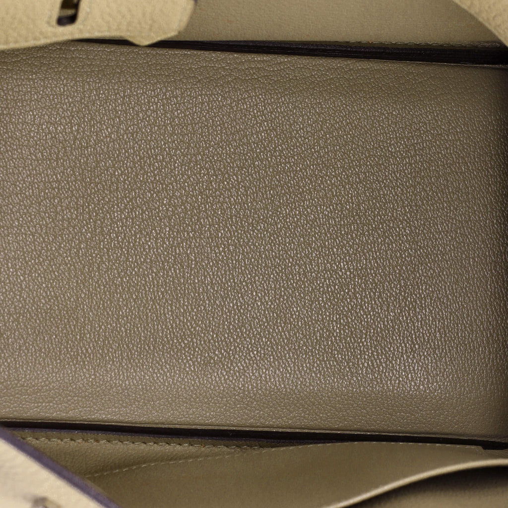 Birkin Handbag Light Togo with Palladium Hardware 25