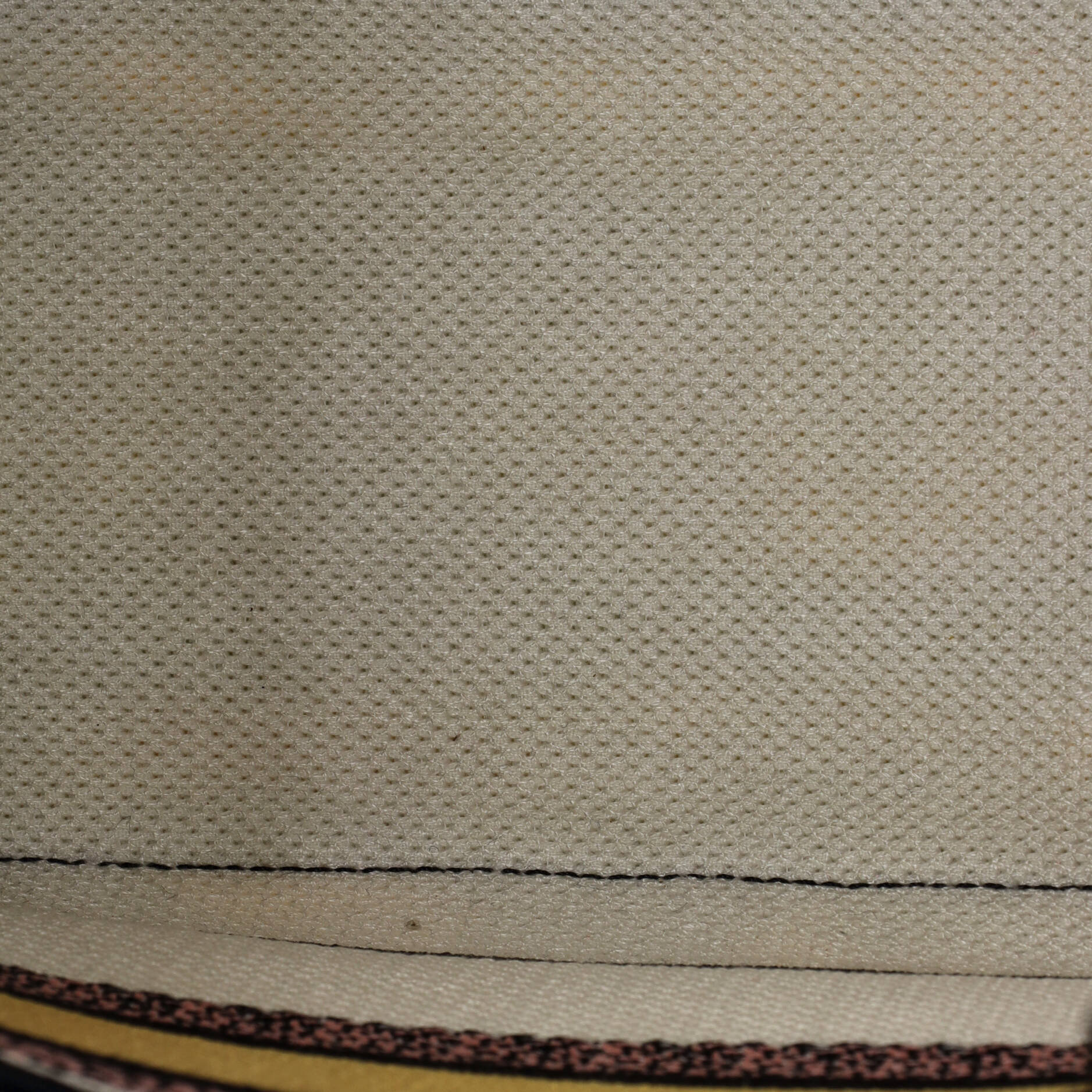 Lady D-Lite Bag Mizza Embroidered Canvas Medium