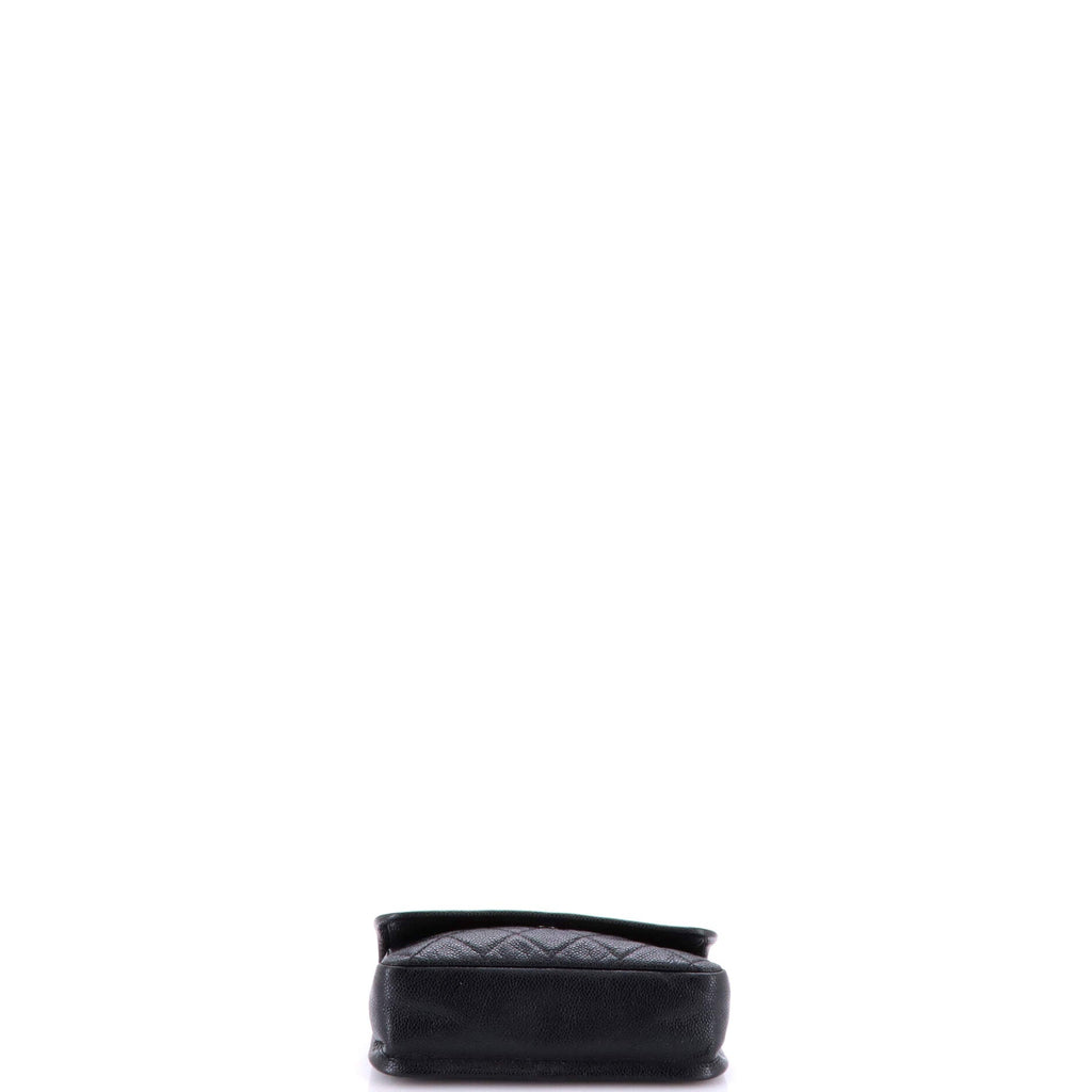 Natural Beauty Flap Bag Quilted Caviar Small
