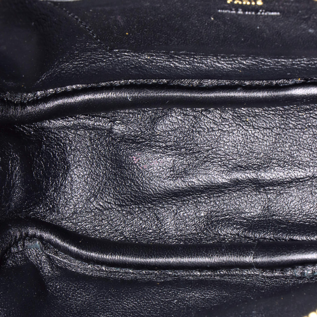 Lou Camera Bag Printed Canvas and Leather Mini