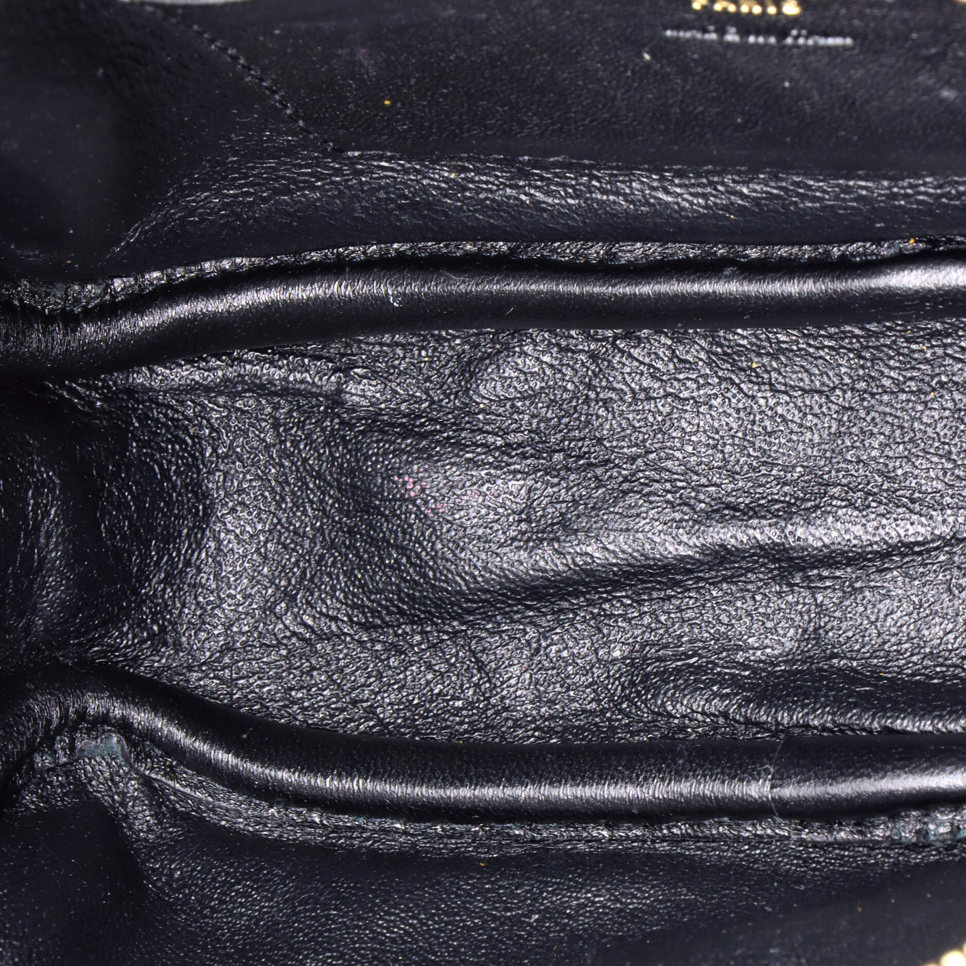 Lou Camera Bag Printed Canvas and Leather Mini