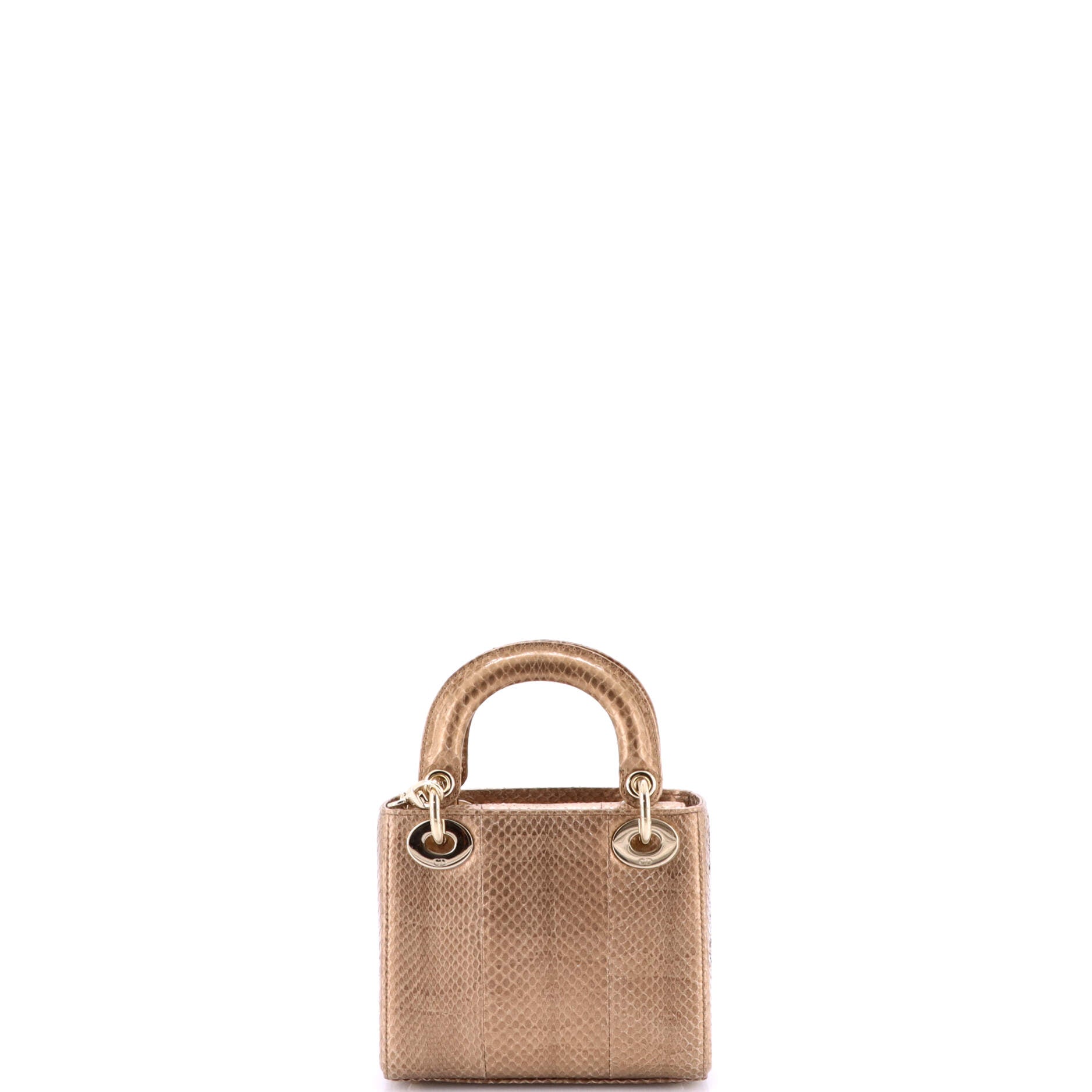 Lady Dior Chain Bag Python Mini