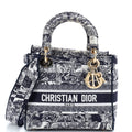 Lady D-Lite Bag Embroidered Canvas Medium