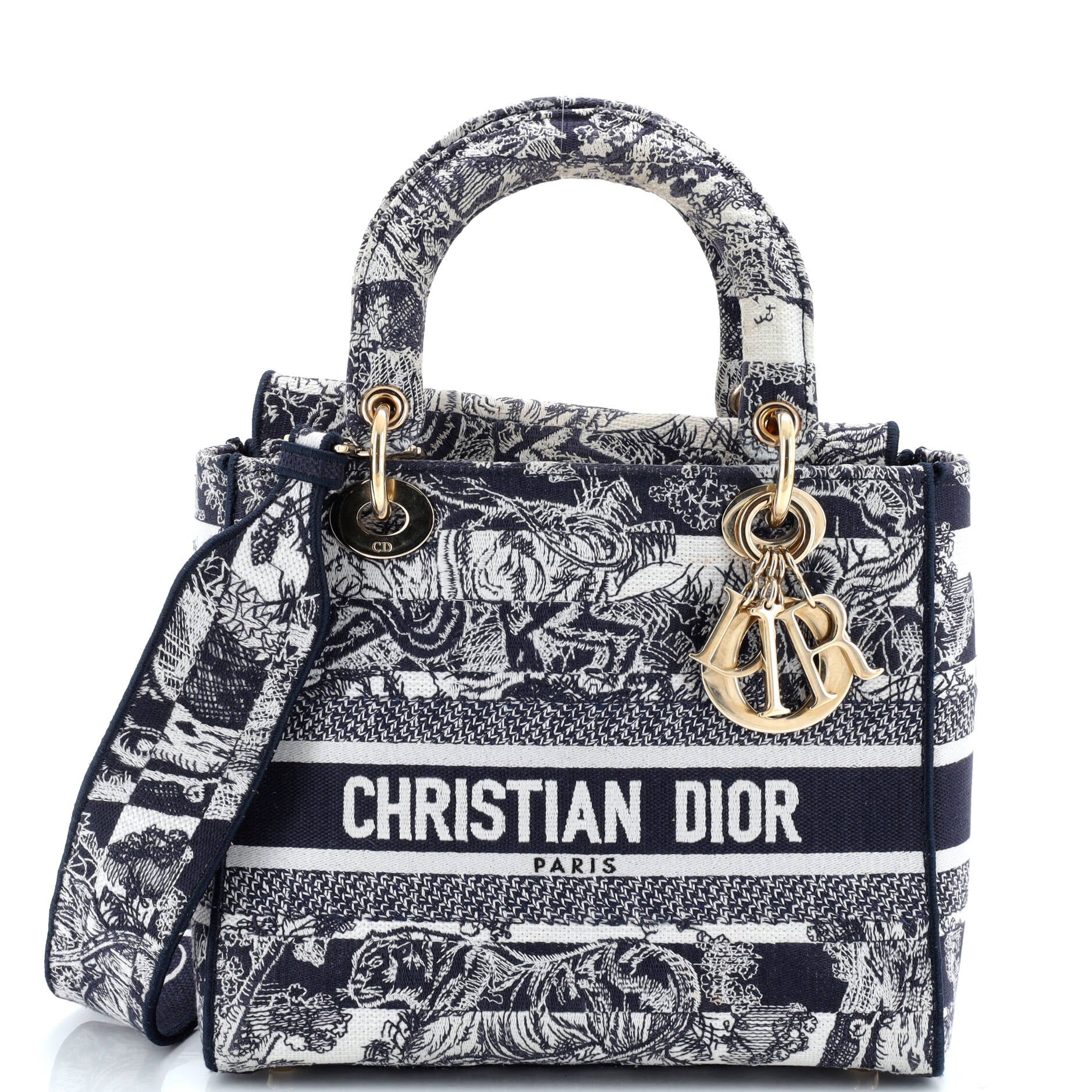 Lady D-Lite Bag Embroidered Canvas Medium