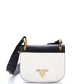 Pionniere Saddle Crossbody Bag City Calfskin Small