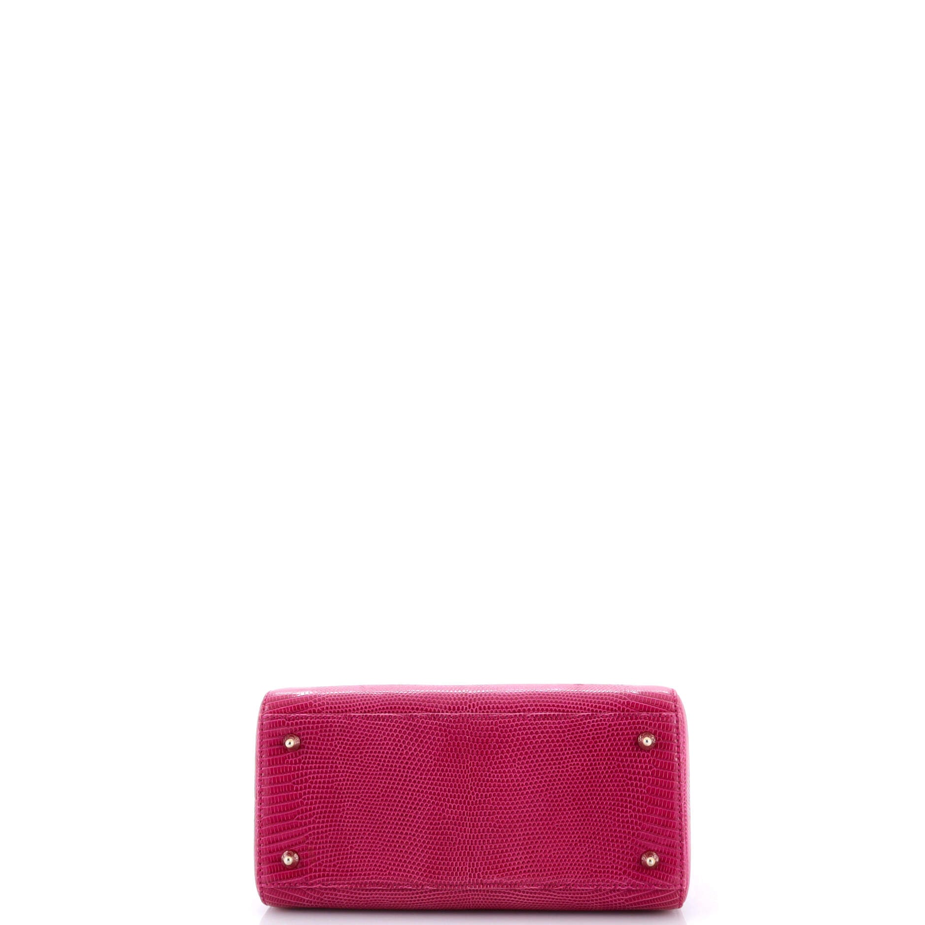 Lady Dior Bag Lizard Medium