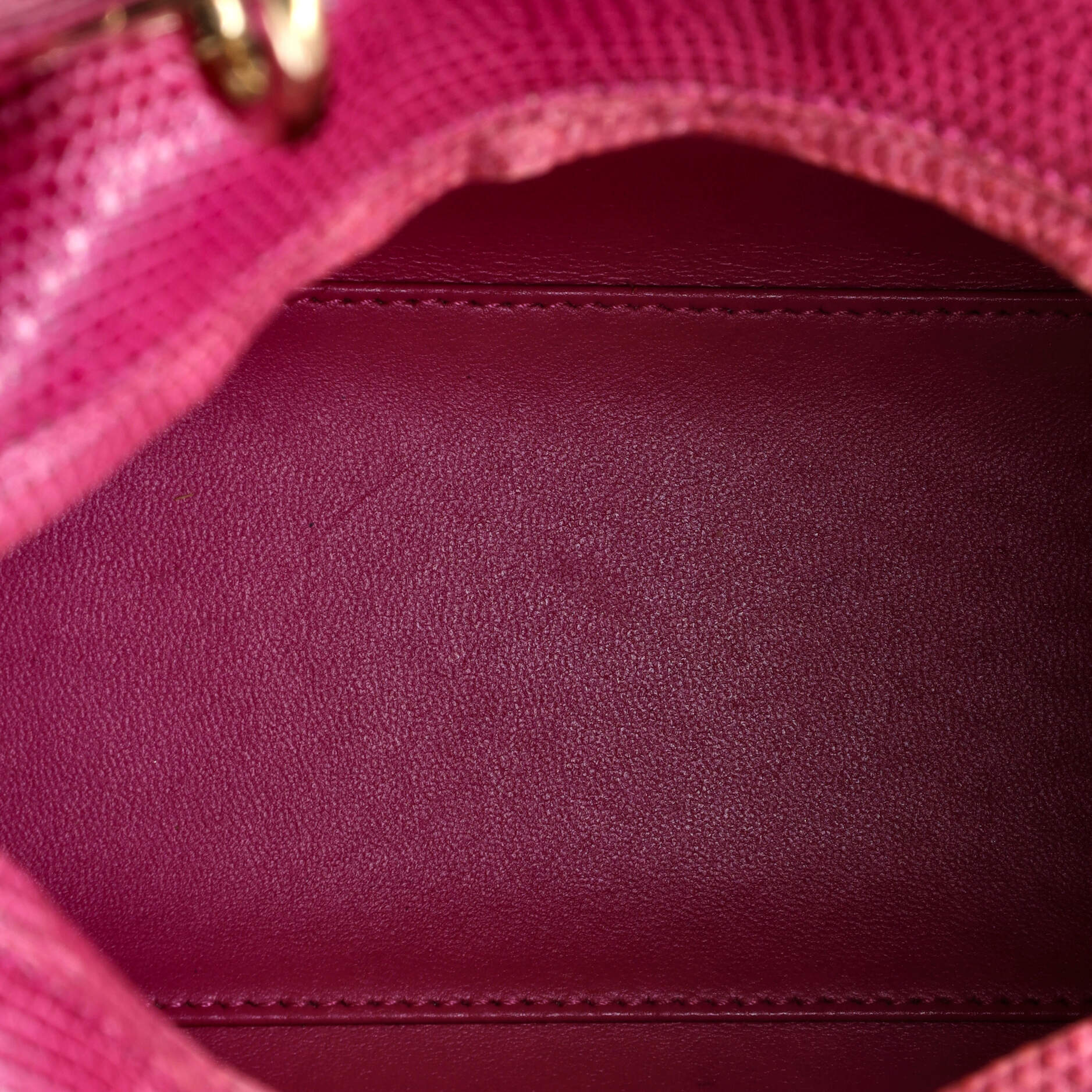 Lady Dior Bag Lizard Medium