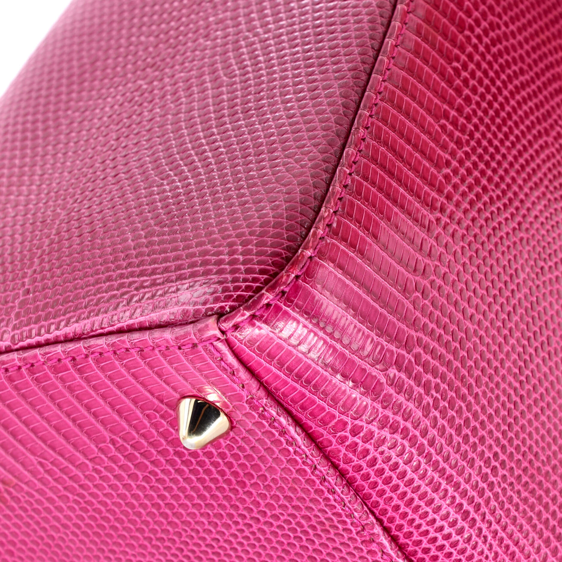 Lady Dior Bag Lizard Medium