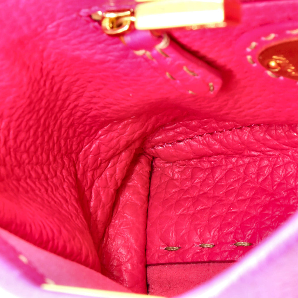 Selleria Peekaboo Bag Leather Mini