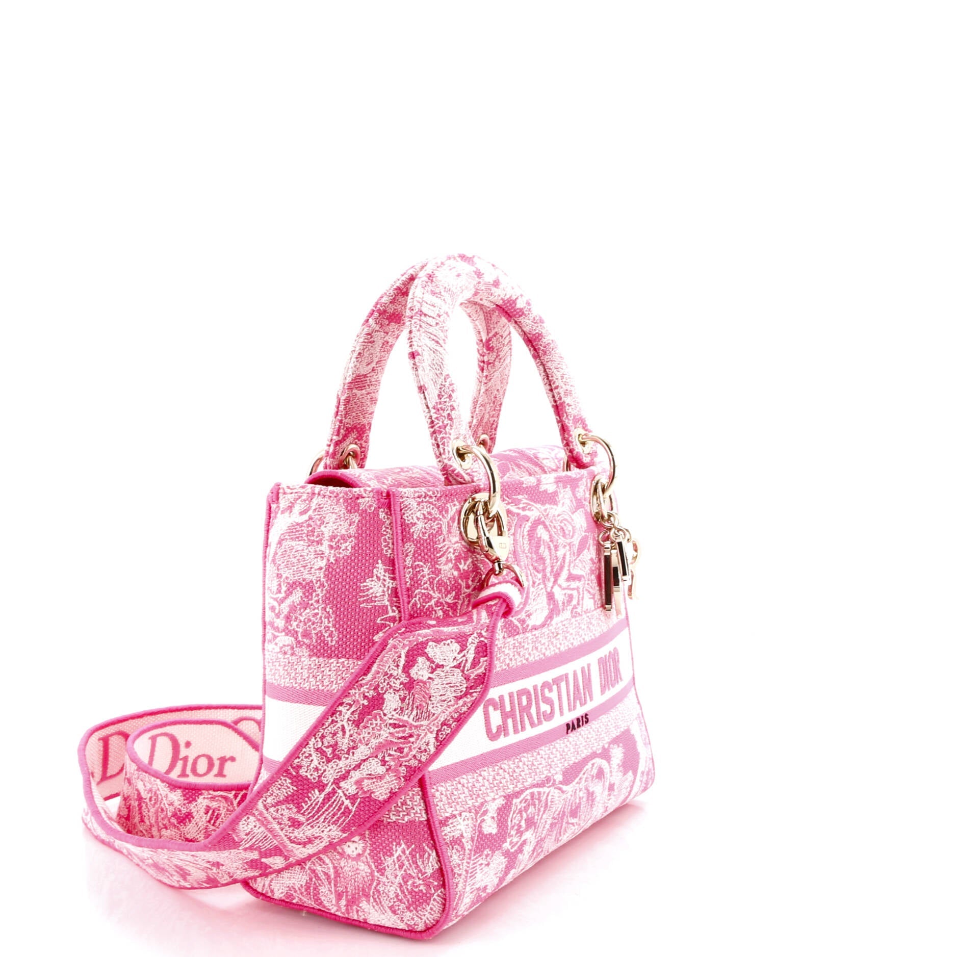 Toile de Jouy Lady D-Lite Bag Embroidered Canvas