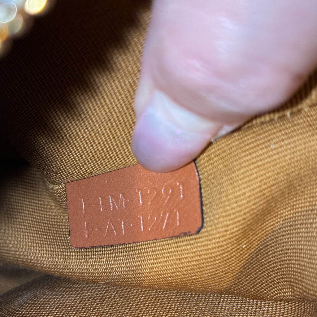 Ava Bag Triomphe Coated Canvas