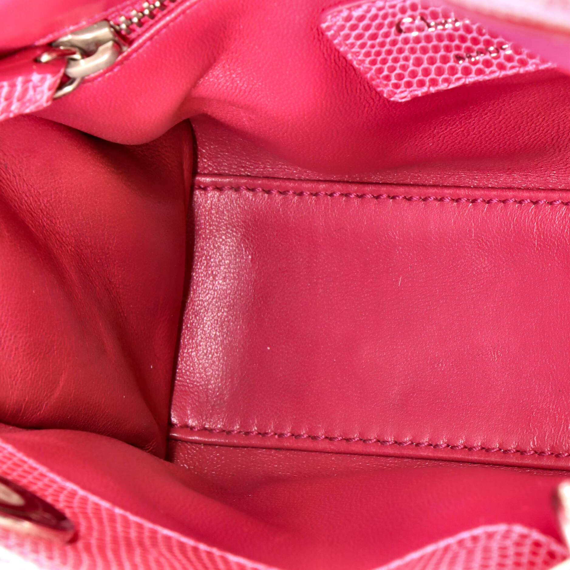 Lady Dior Bag Lizard with Crystal Charms Mini