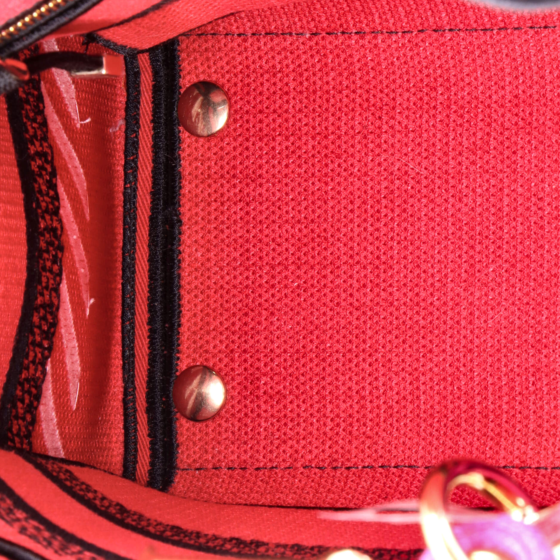 Lady D-Lite Bag Embroidered Canvas Medium