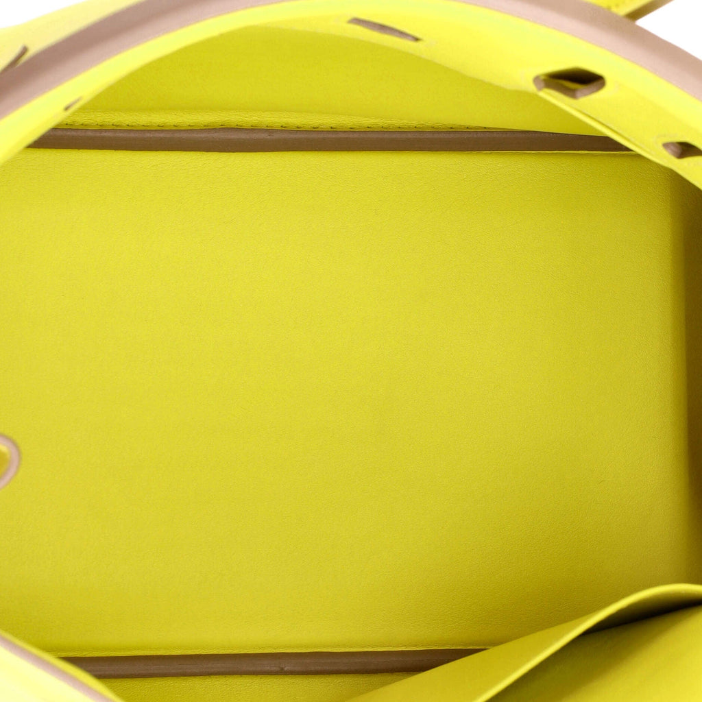 Birkin Handbag Lime Swift with Palladium Hardware 25