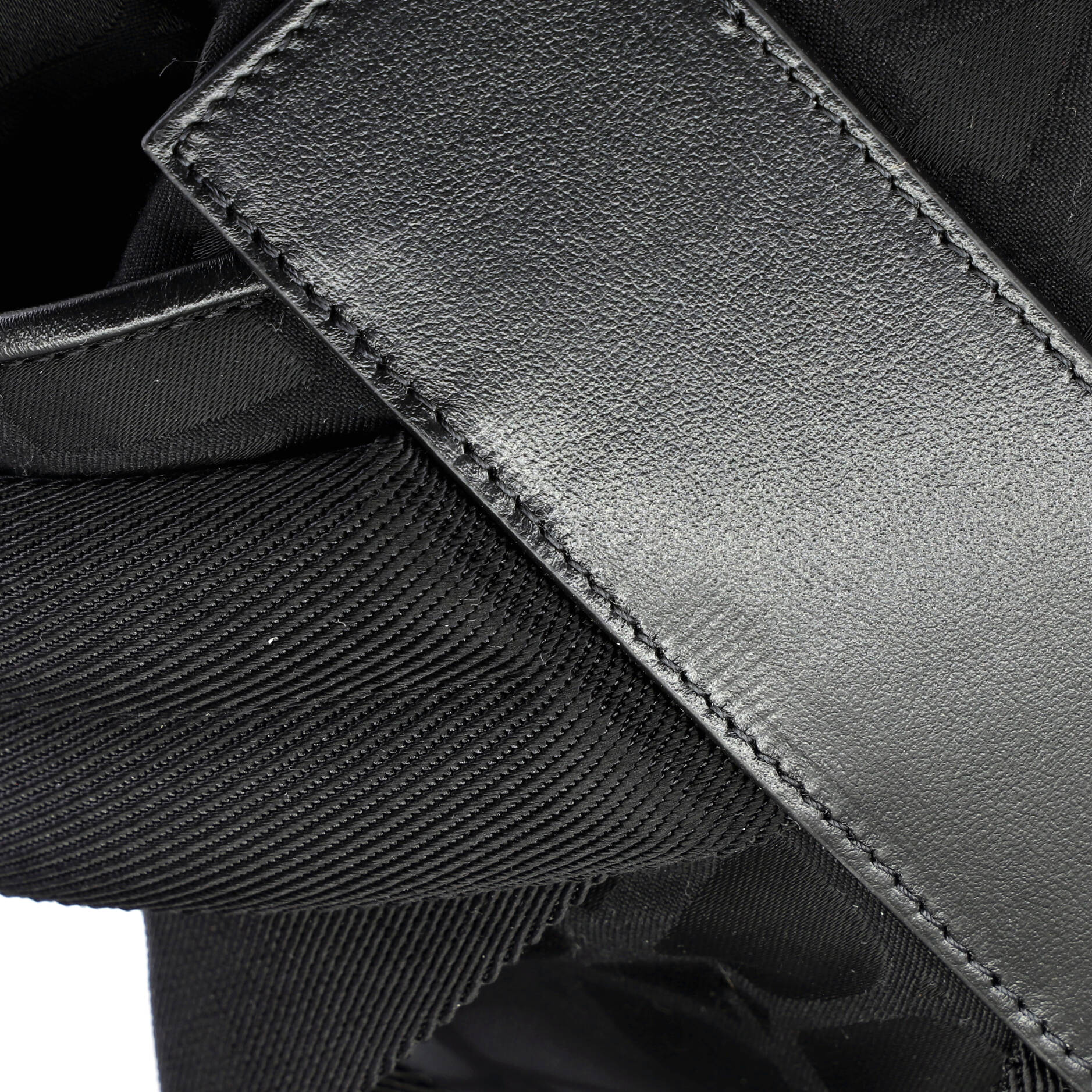 Double Buckle Backpack Toile Iconograph Nylon