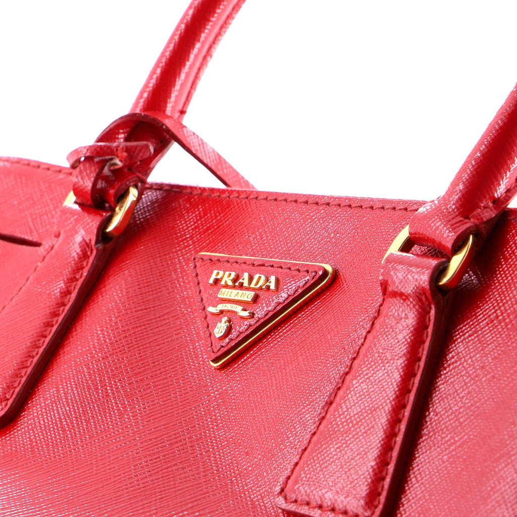 Double Zip Lux Tote Vernice Saffiano Leather Small
