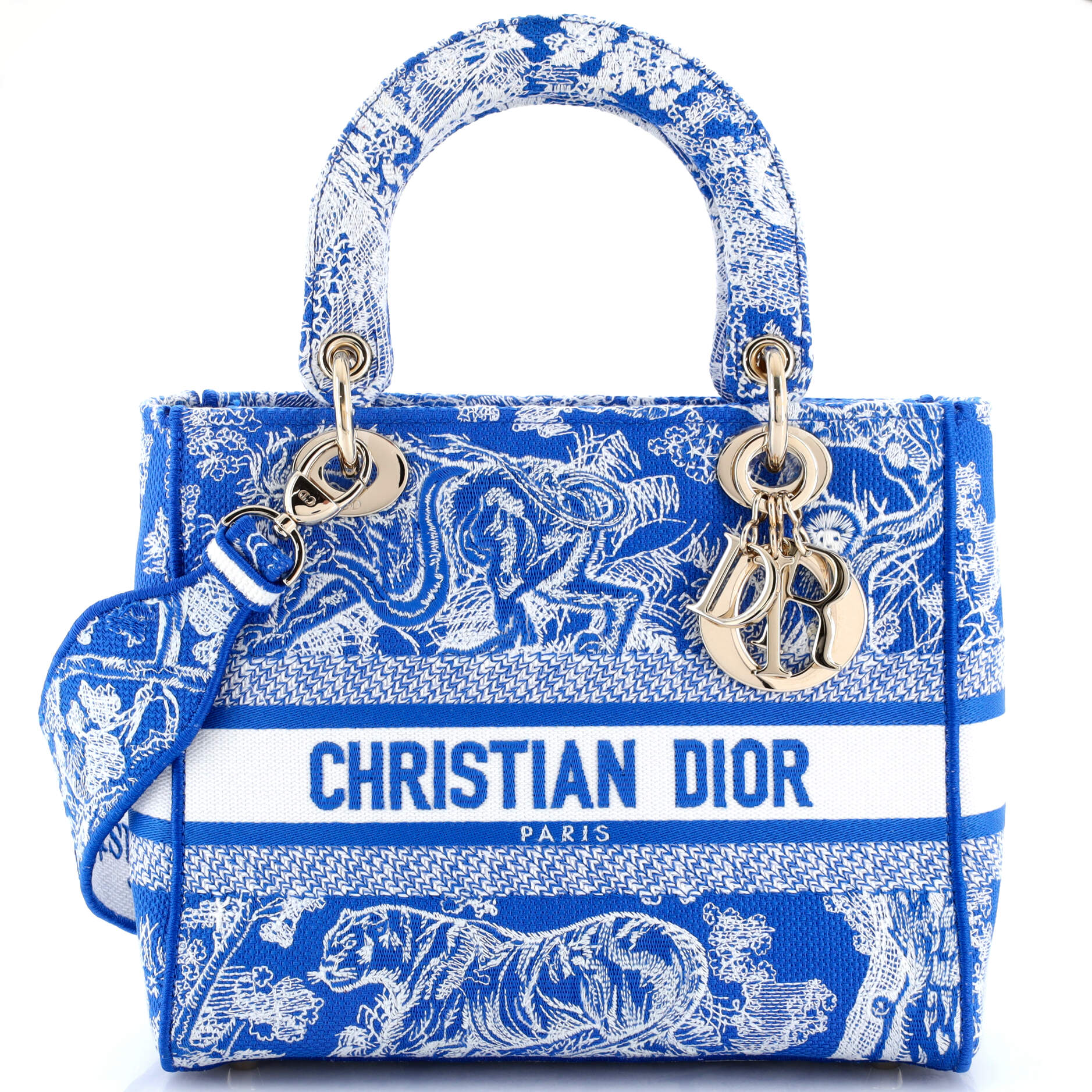 Lady D-Lite Bag Embroidered Canvas Medium