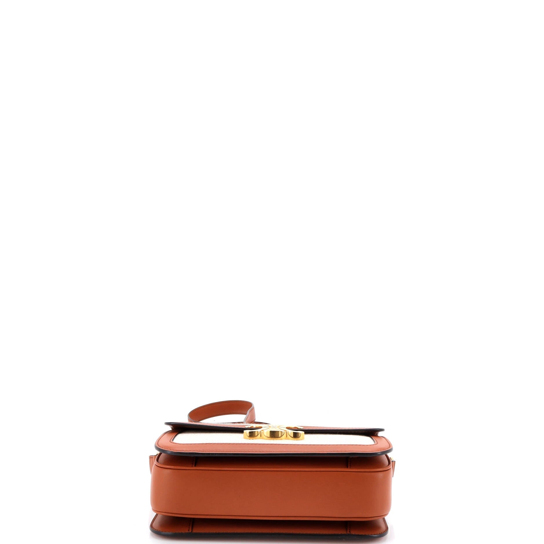 Triomphe Shoulder Bag Canvas with Leather Medium