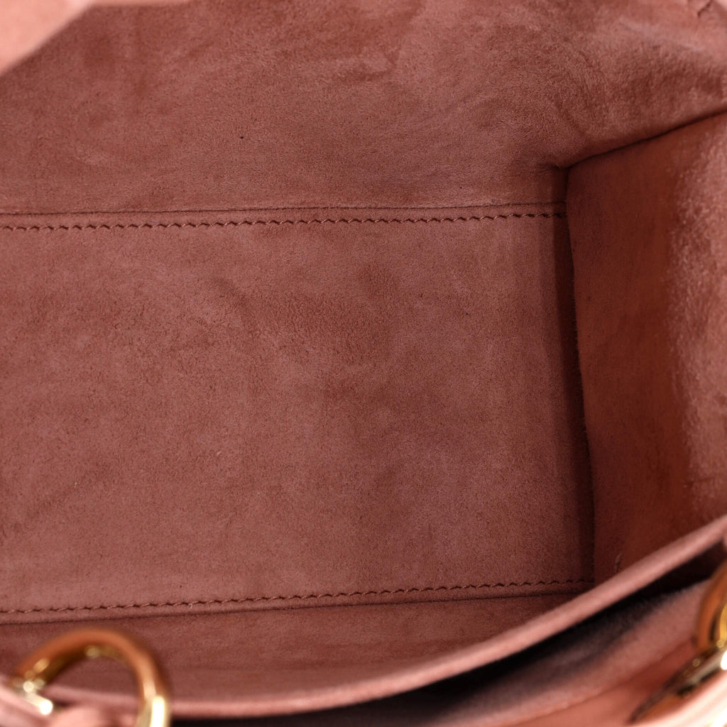 Lady Dior Bag Cannage Quilt Gradient Lambskin Medium