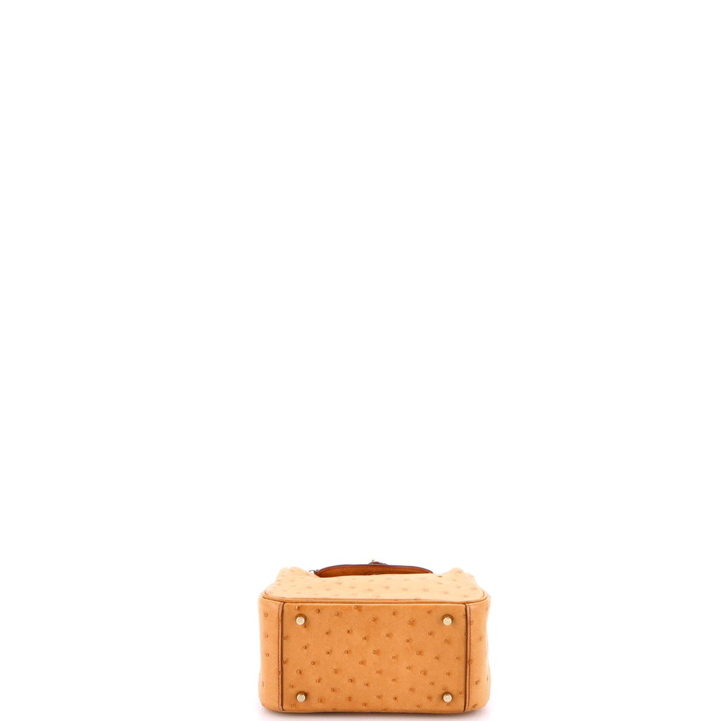 Lindy Bag Ostrich Mini