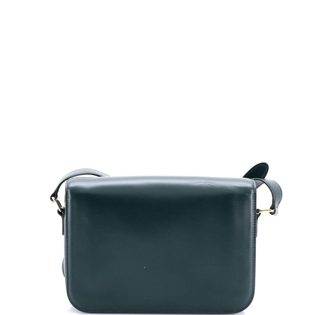 Triomphe Shoulder Bag Smooth Calfskin Medium