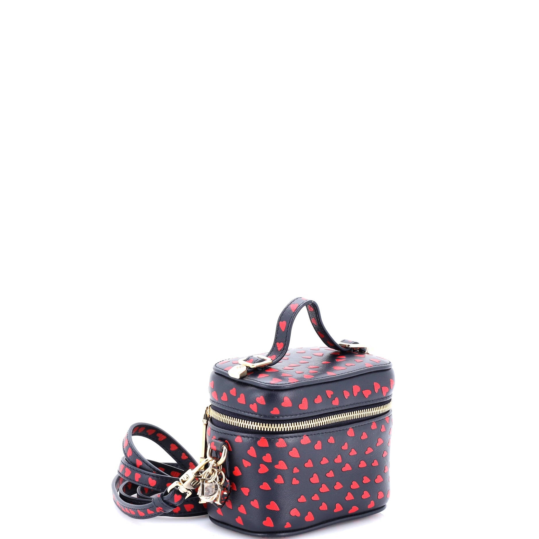 Lady Dior Vanity Case Printed Leather Micro