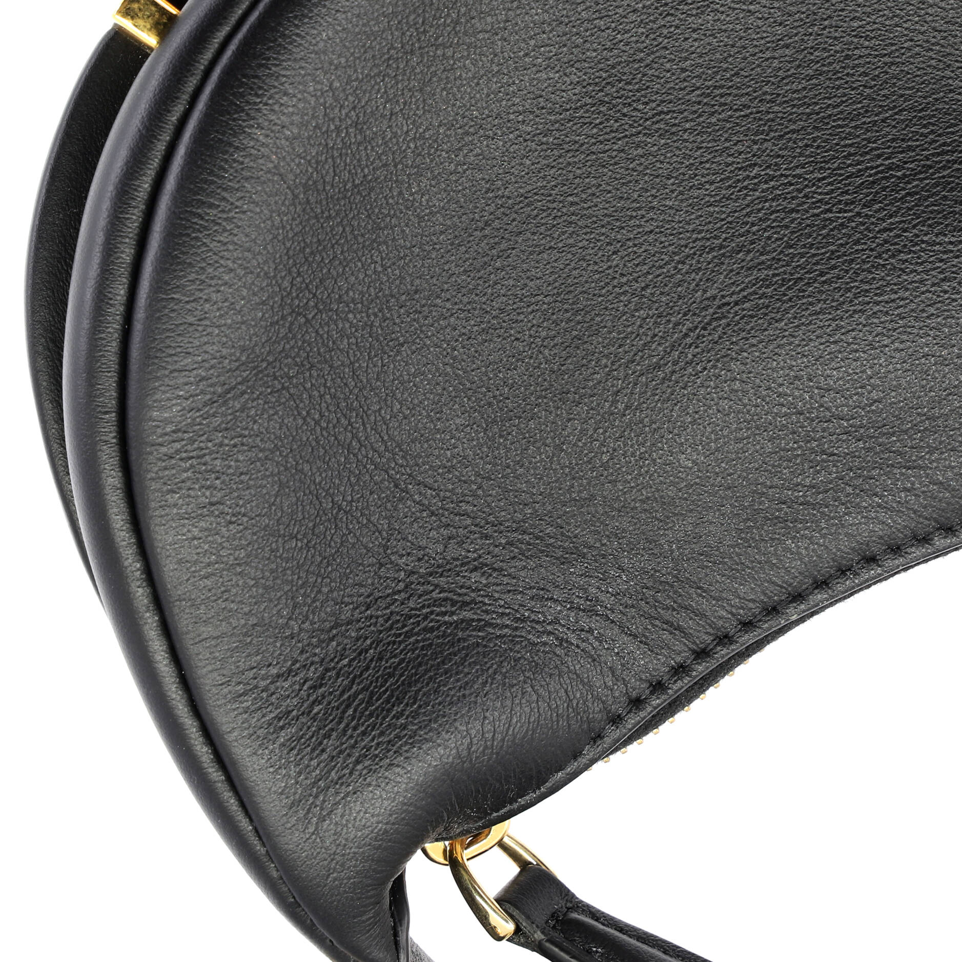 Fendigraphy Bag Leather Nano