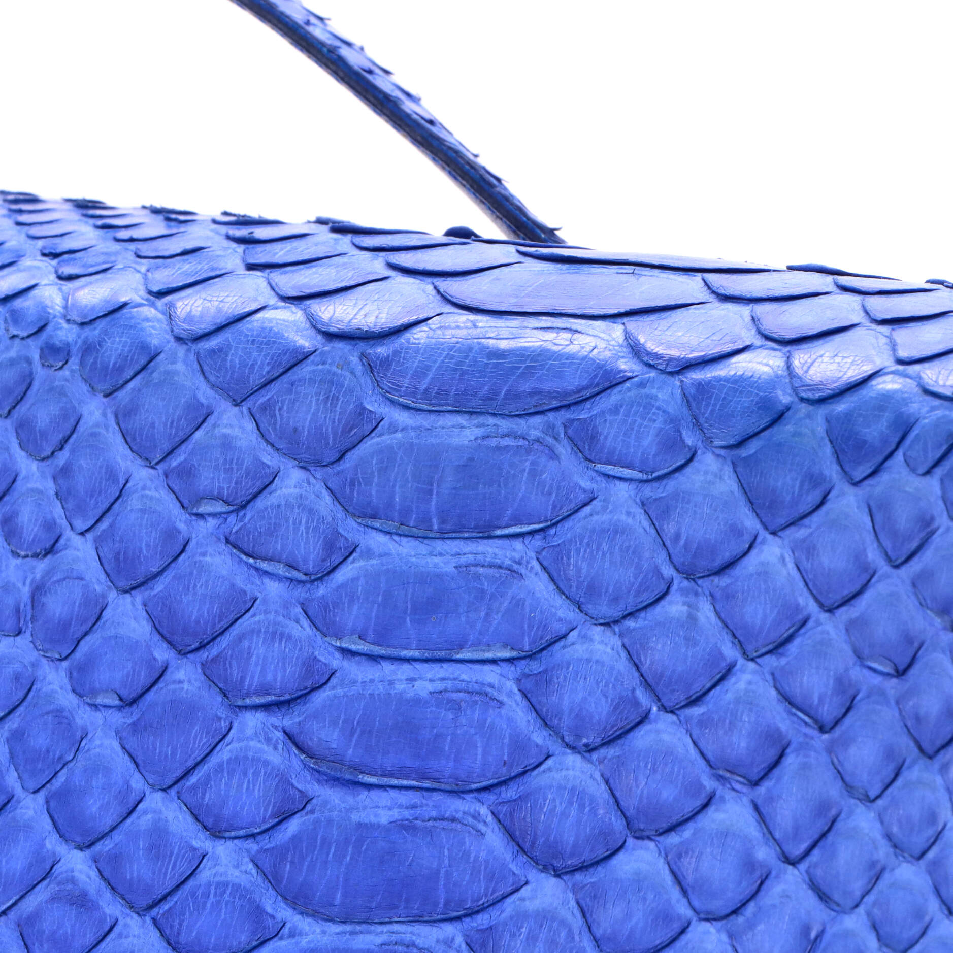 Classic Box Bag Python Medium
